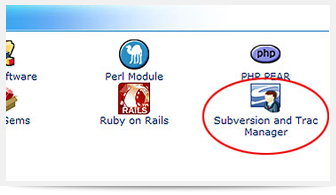 RVSkin Integration